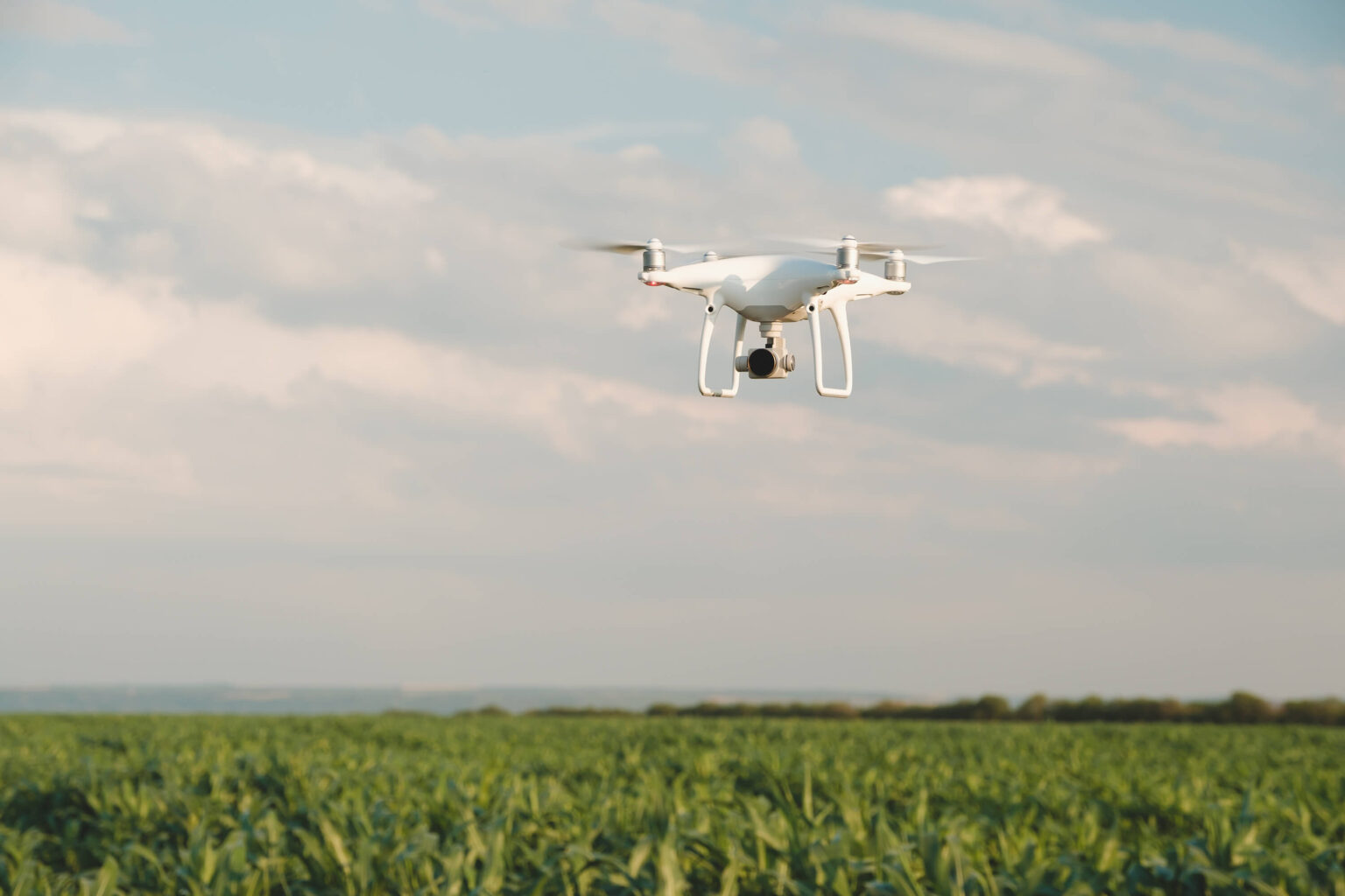 Biały dron rolniczy lecący nad zielonym polem uprawnym podczas jasnego dnia.